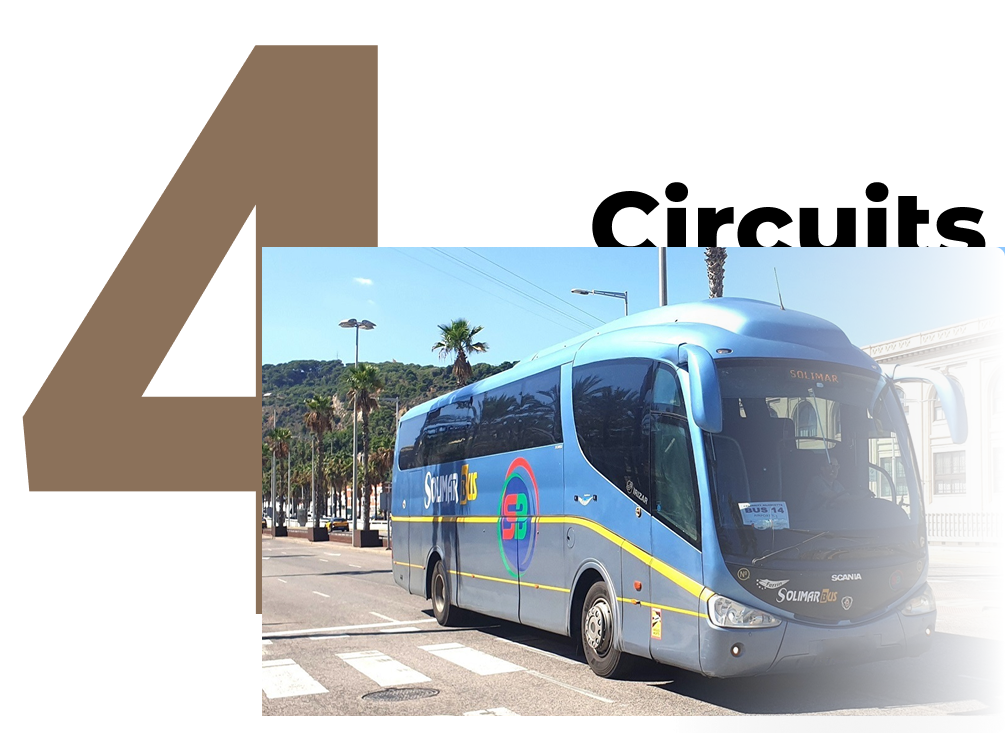 Solimar Bus